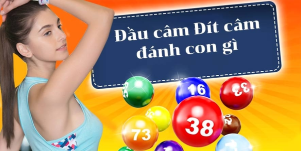 Dựa vào đầu - đuôi lô câm soi đề về 00