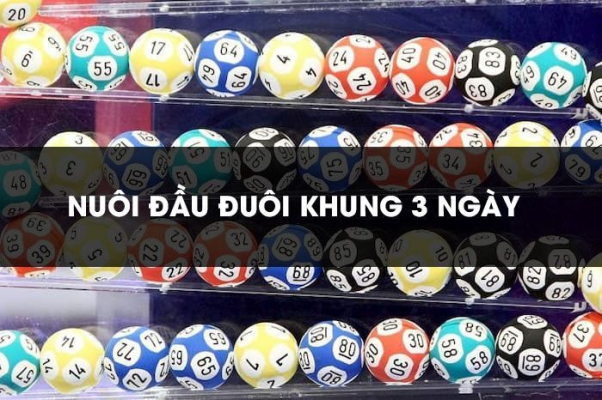 Bằng cách nào nuôi đầu đuôi khung 3 ngày chiến thắng mà không lo nghĩ